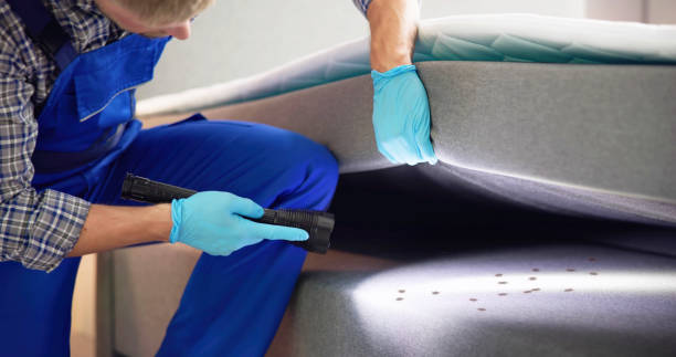 Best Spider Control Near Me  in Miami Gardens, FL